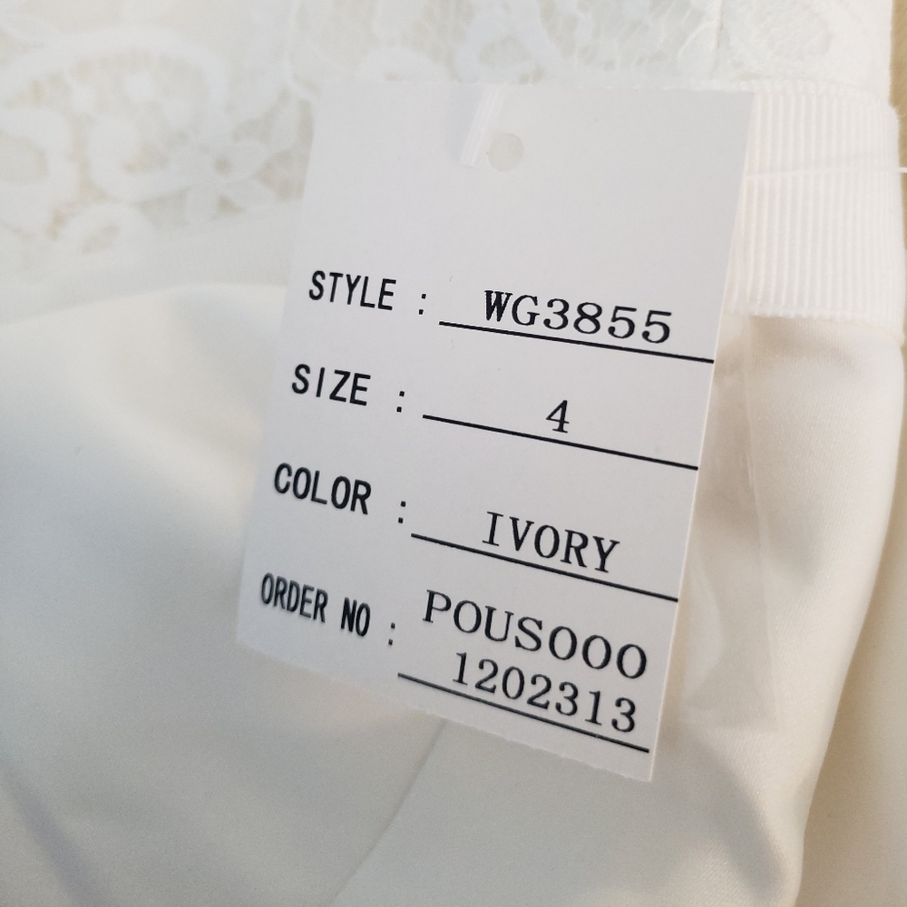 Wedding Dress - Picture 5 of 6